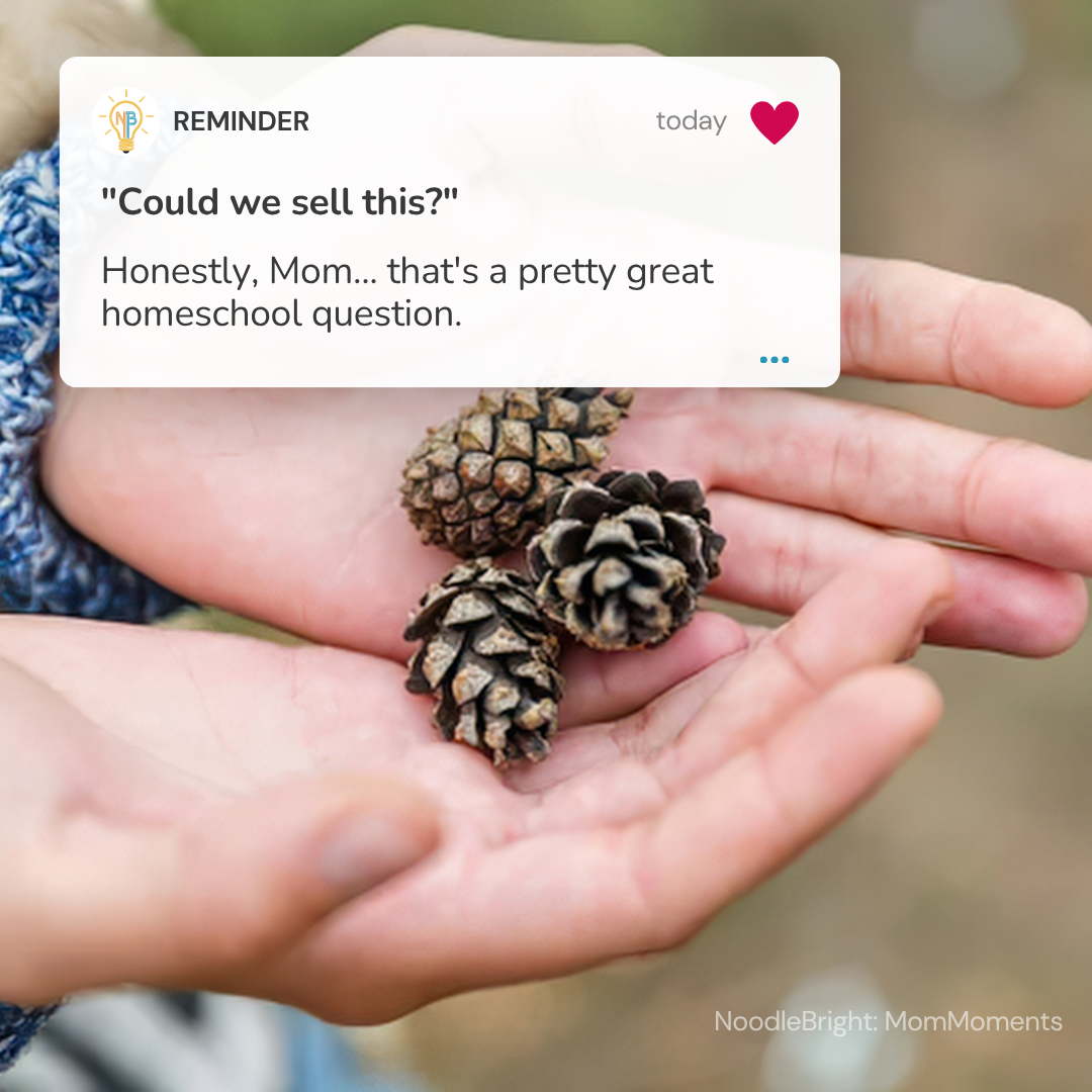 A close-up of a person's hands holding three small pinecones, with a digital reminder card overlaid at the top left. The background is a soft, blurred outdoor setting.